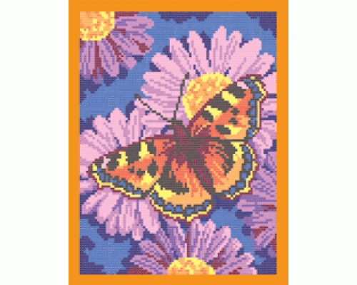 Пт-002