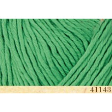 Пряжа Fibranatura Cottonwood 41143