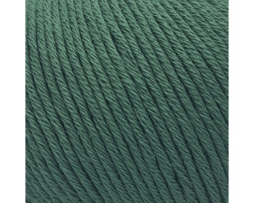 Пряжа Gazzal Organic Baby Cotton 427 (Папоротник)